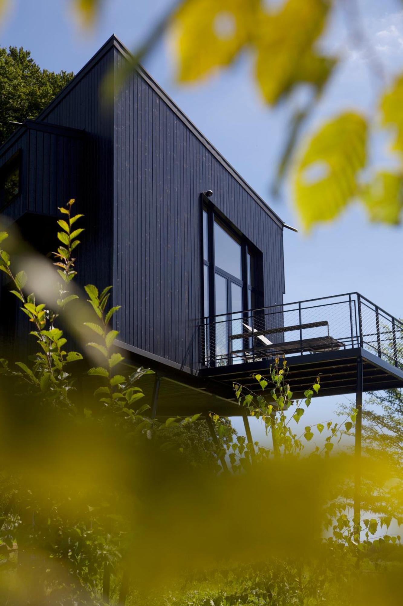 Вилла Treeangle - K1 Baumhaus Оденталь Экстерьер фото